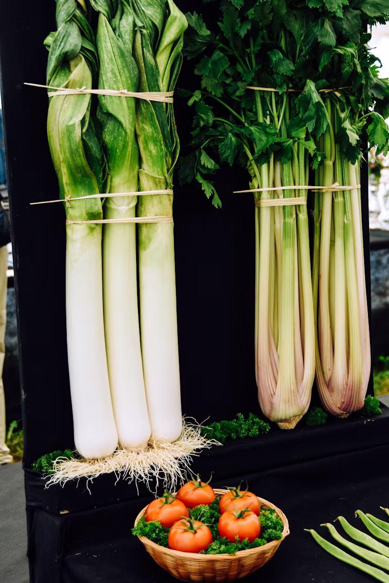 Celery: Nature's Aphrodisiac for Sexual Health