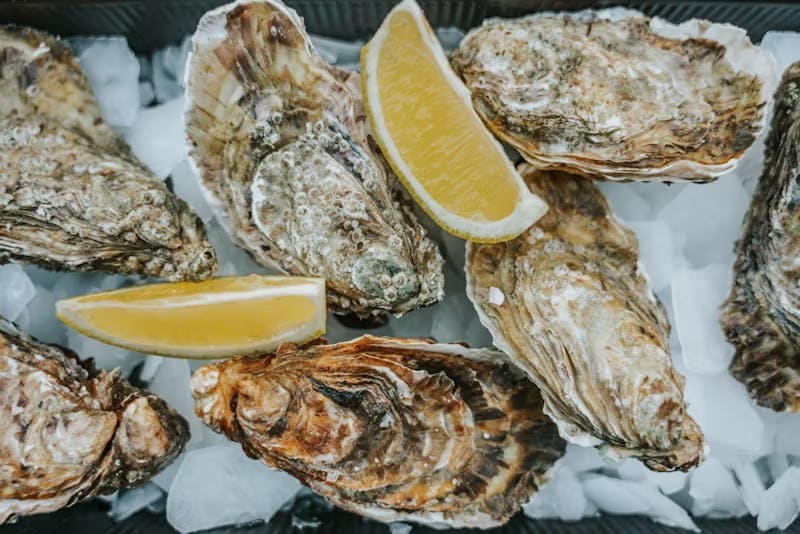 Oysters: Delicious Health Boosters