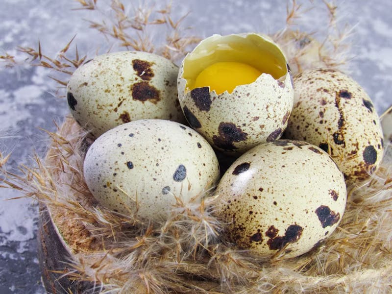 Quail Eggs: Tiny Nutritional Powerhouses