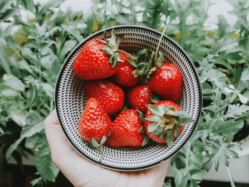 Strawberries: Delicious Health Powerhouse